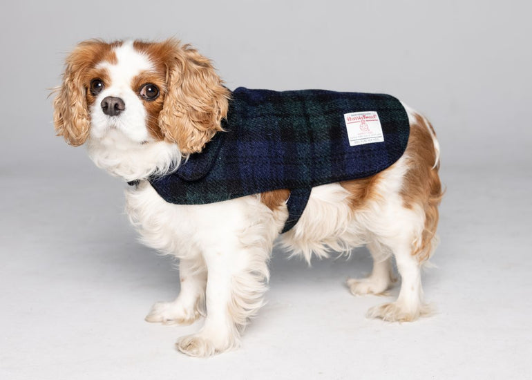 Harris Tweed Dog Coat - 8 Colours